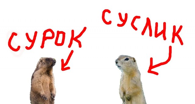 Немного классики с утра