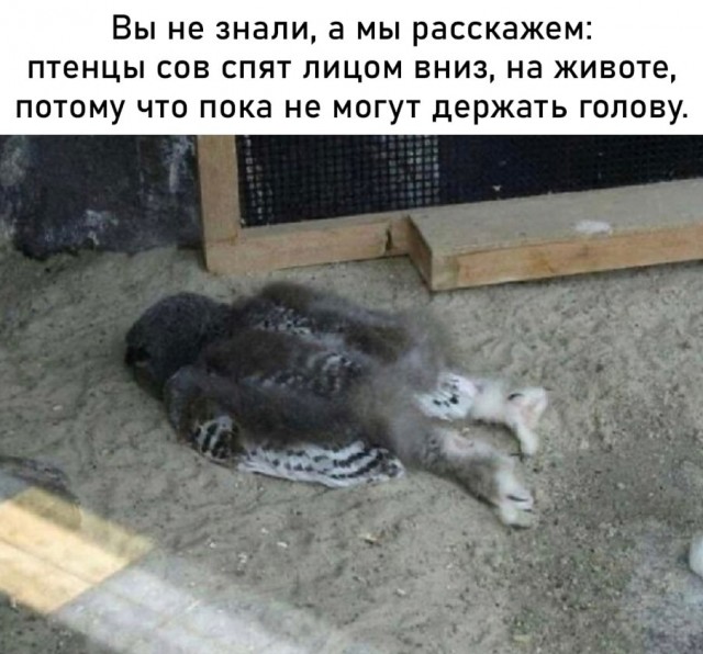 Отмена деградации ІV. Околонаучные картинки