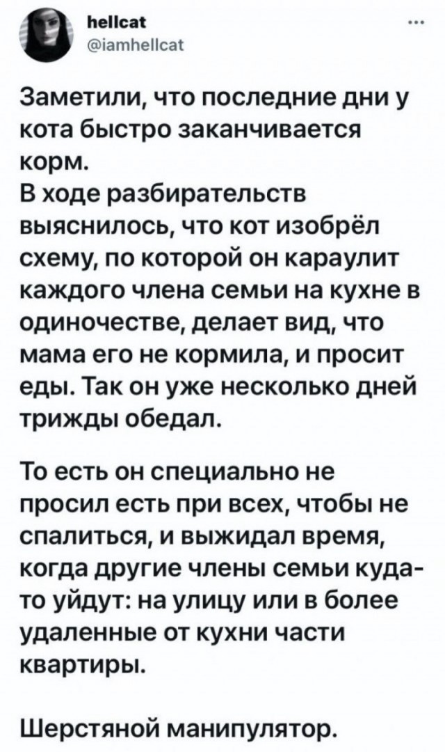 Веселые картинки