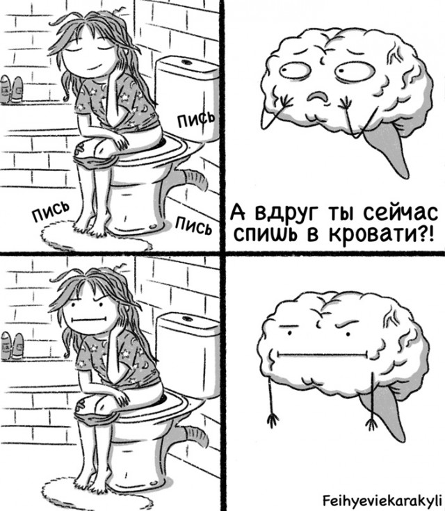 Дурдом (Бояны)