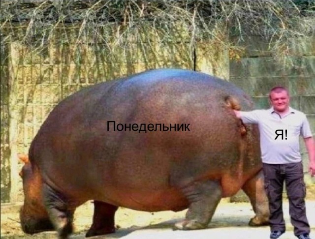 Юмор в картинках и без