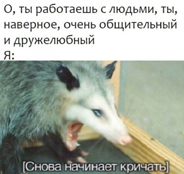Куча веселых картинок