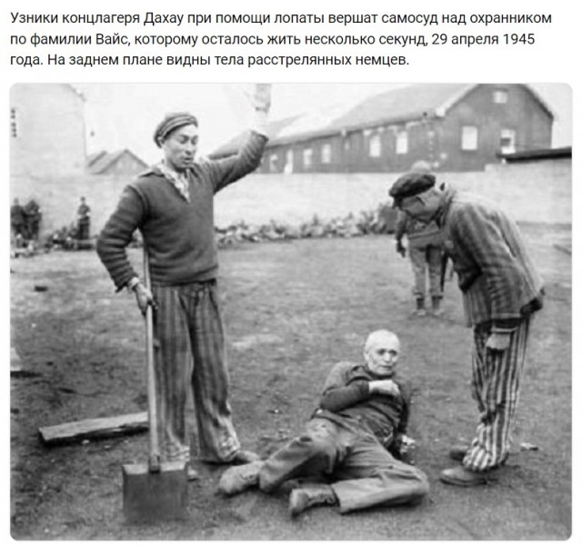 Поверьте, я не хотел специально жечь русских