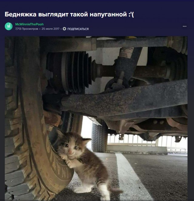 Это фото дальнобойщик прислал жене