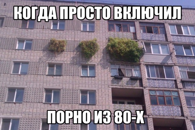 Как порно волосатость отменило⁠⁠