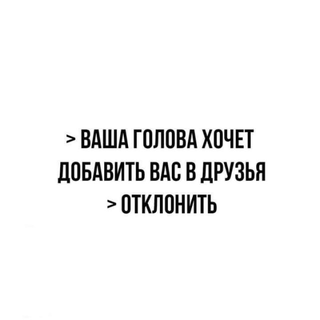 Весёлый полтишок 13.03.25