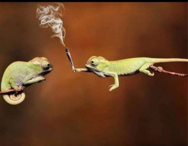 Прикольные и просто красивые картинки 04.04.2025