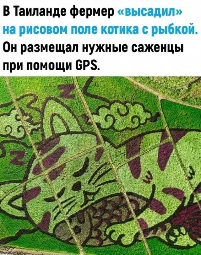 Так себе картинки 03.05.25
