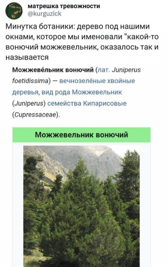 Веселые картинки в маленькую пятницу (14.05)