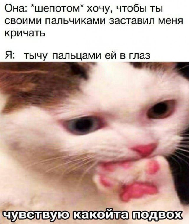Сеня, дичь!