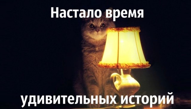 Цыганский развод