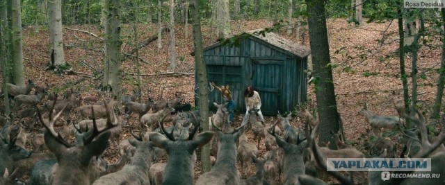 Вышел трейлер фильма «День раскрытия», первого кино о пришельцах Стивена Спилберга за последние двадцать лет