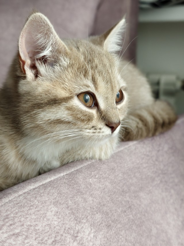 В тему дня .