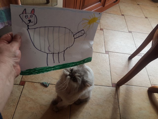 Один в один