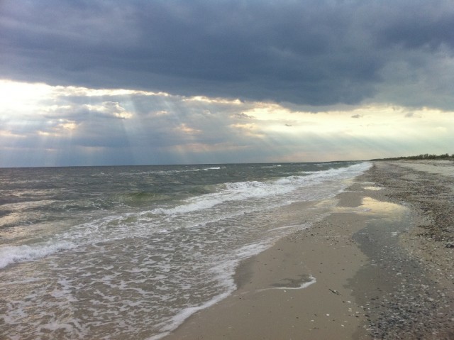 Кинбурнская коса