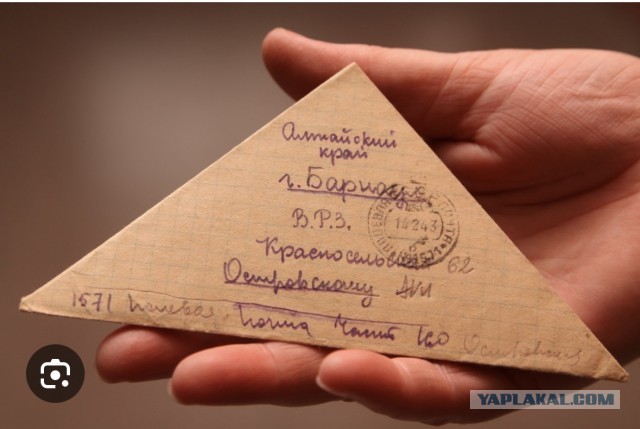 Власти определились со сроками блокировки Telegram