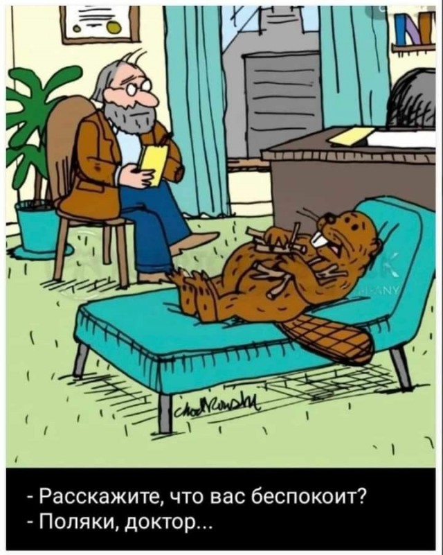 Тема дня