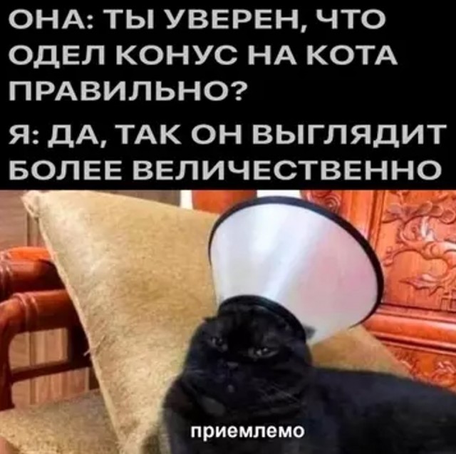 Картиночки, баянчики 22 апреля