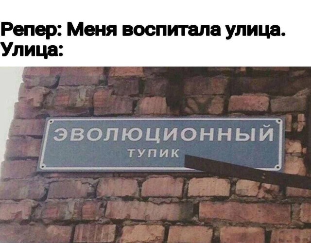 Картинки для деградации 205 (разной степени свежести)