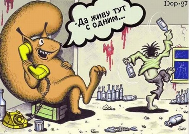 Печаль-беда - орехи закончились