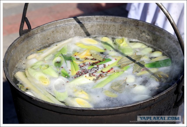 Международный чемпионат ухи 2013