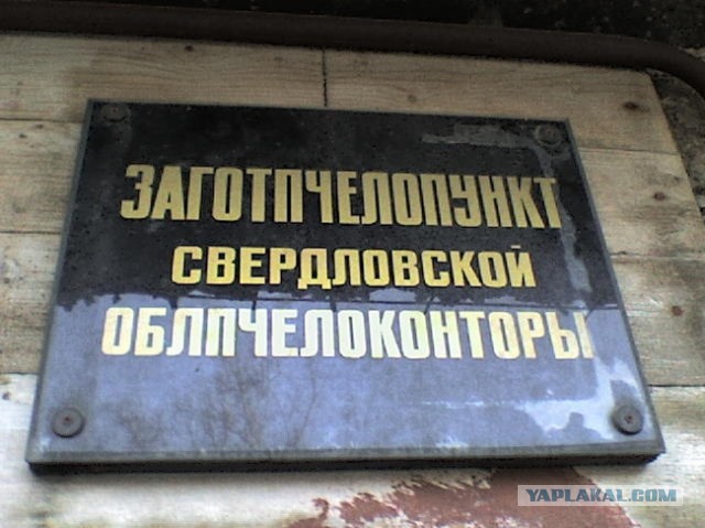 Маразмы года 2013