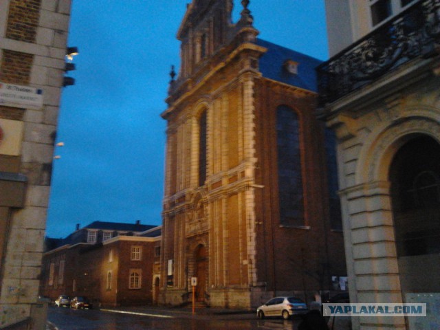 Где яблоки растут!