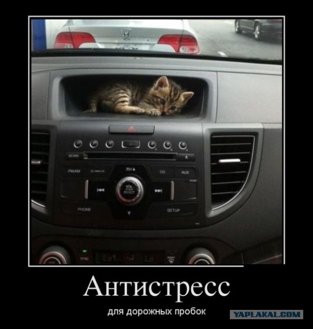 Смешные картинки
