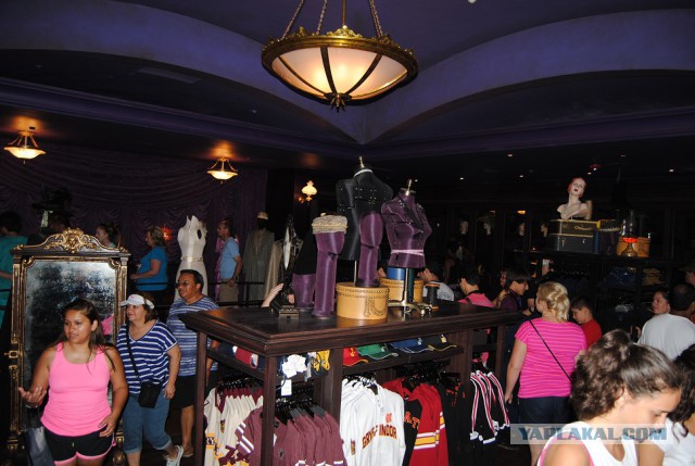 Каникулы во Флориде