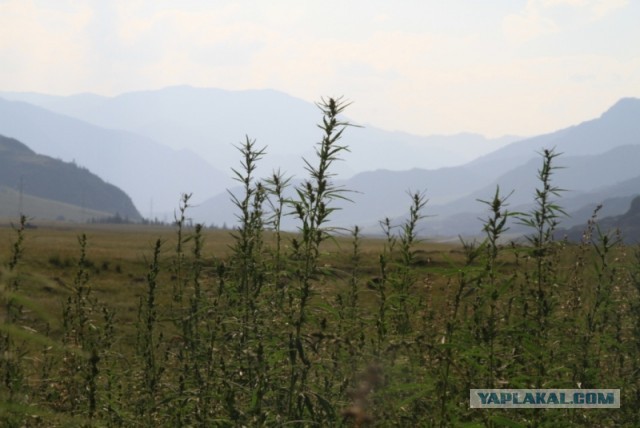 Путешествие в Восточный Аккар