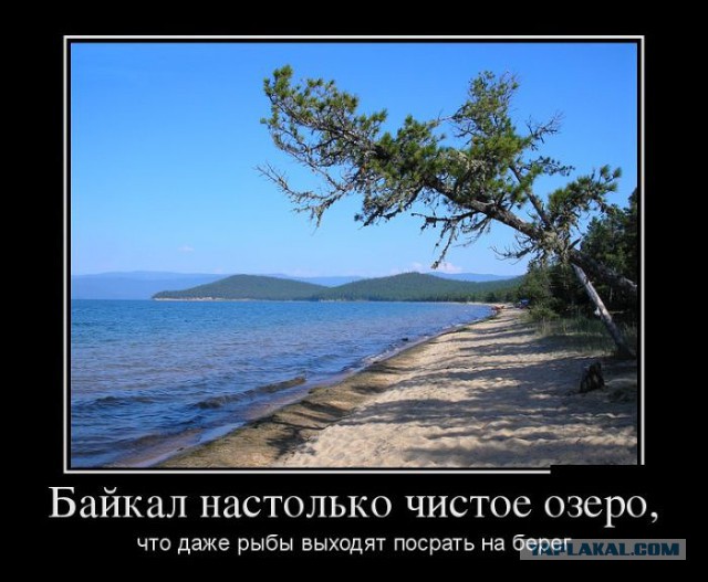 Демотиваторов пост