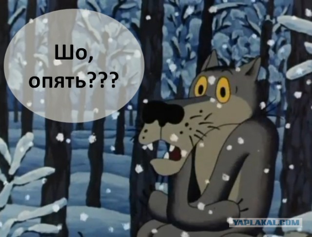 25 цитат из любимых фильмов