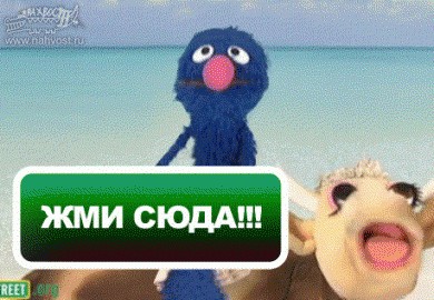 Самый правильный ракурс