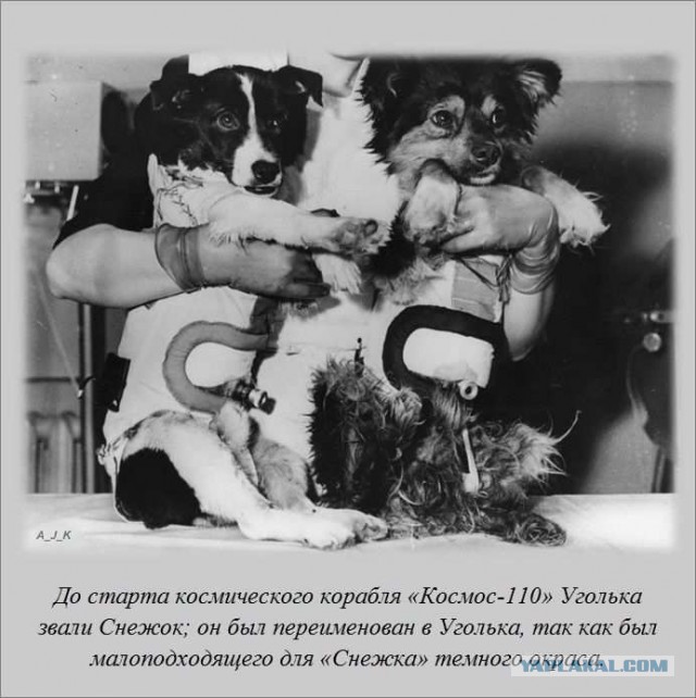 20 фактов обо всем