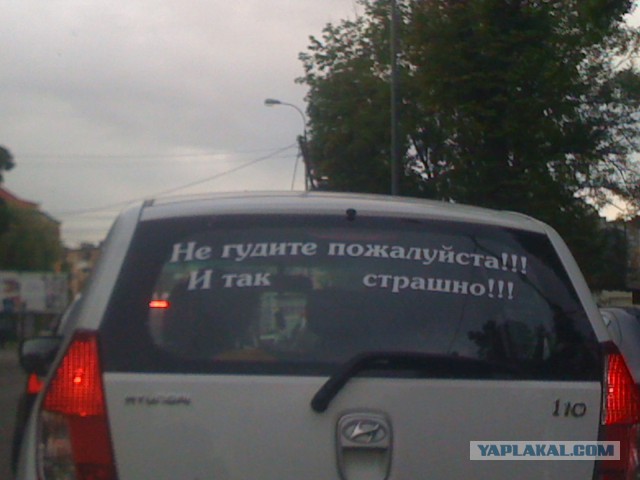 Надписи на авто.