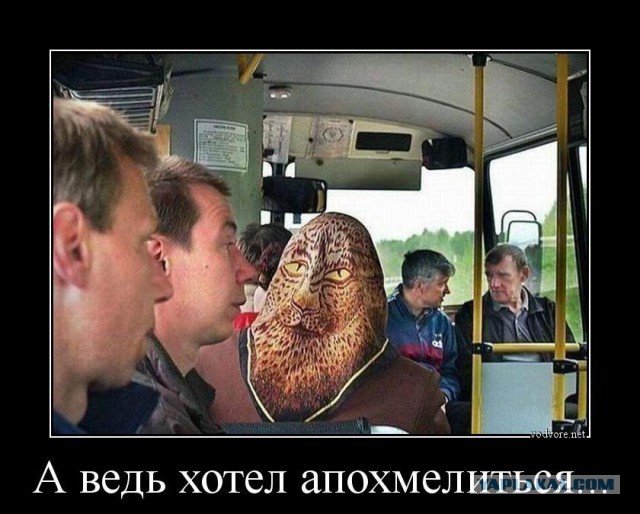 Похмеляйтесь вовремя, господа..