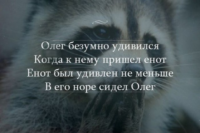 Картинок из сети немножко