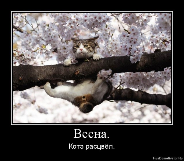 Немного братьев наших меньших! ЧЕТВЕРГ