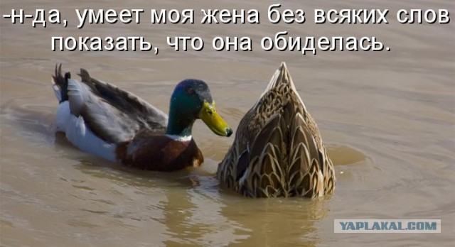 Когда жена обиделась и молчит