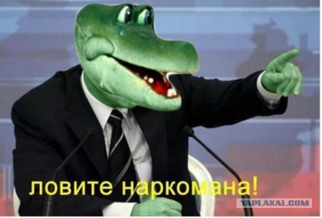 Маковая радость
