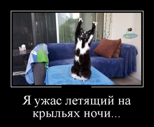 Картинки из сети