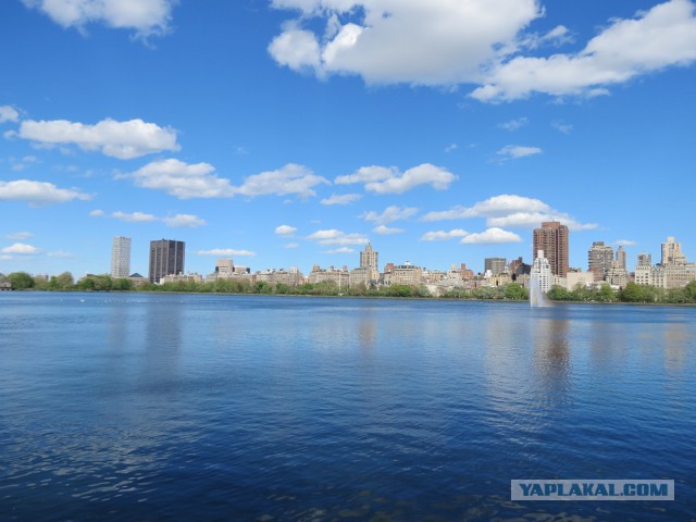 Жизнь и работа в Нью Йорке, ч.5