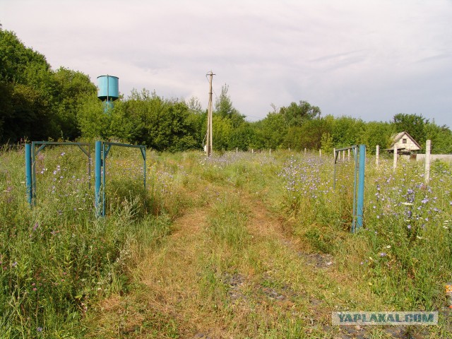 Безалаберность в Белгородской области