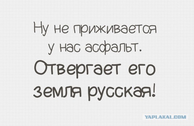 День открытых дверей в палате №6