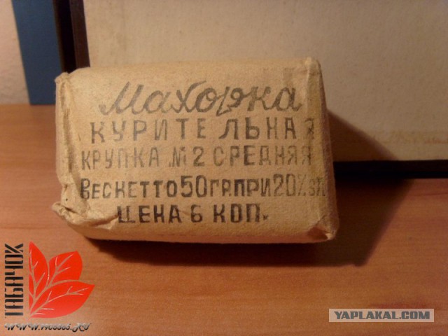 Интересные факты о махорке