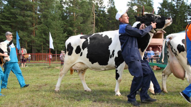 Российские производители шпрот полностью заместили продукцию из Прибалтики