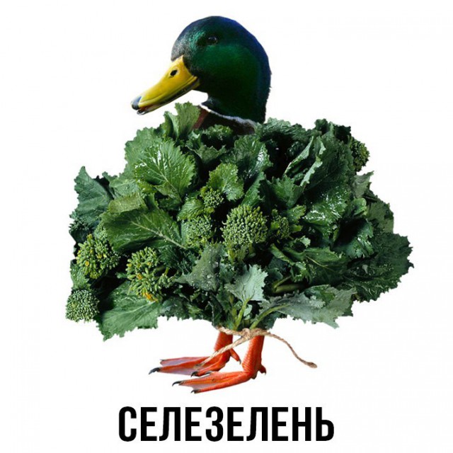 Шлакоблокунь и друзья