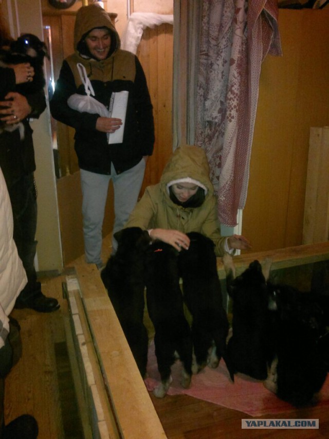 Я вас всех люблю