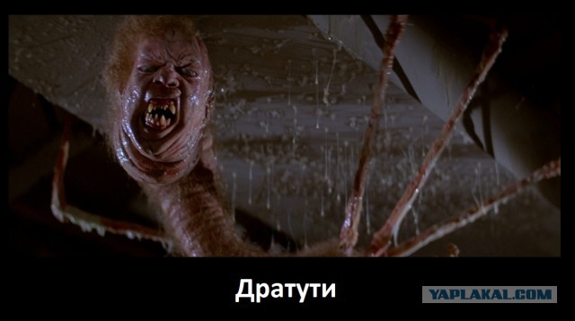 Что это за червь?