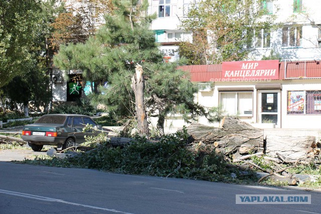 Последствия сильного ветра